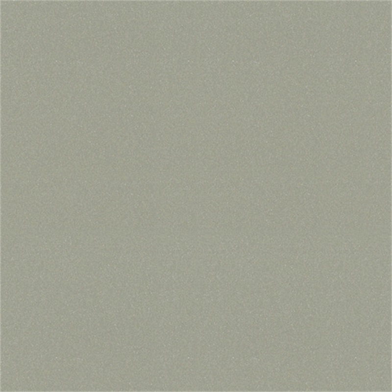 KG1110香(xiang)檳銀(yin)